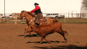 Dale Brookshire cattle clinics